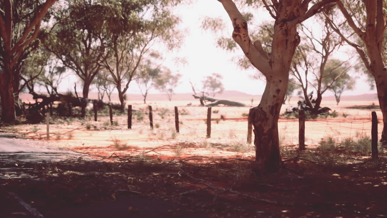 paisaje del interior de australia: árboles, cercas y arena roja