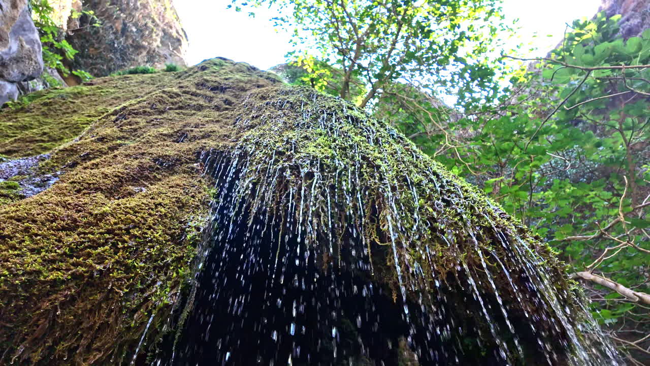 Moss Covered Waterfall in Lush Forest