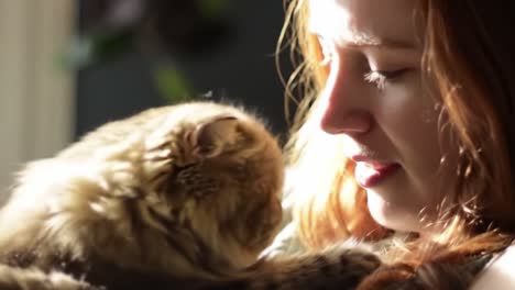 a heartwarming moment between a girl and her cat: a tender display of affection captured in soft natural light