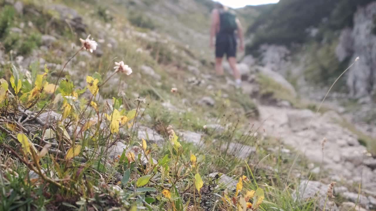 senderismo por los alpes julianos en el parque nacional triglav en eslovenia