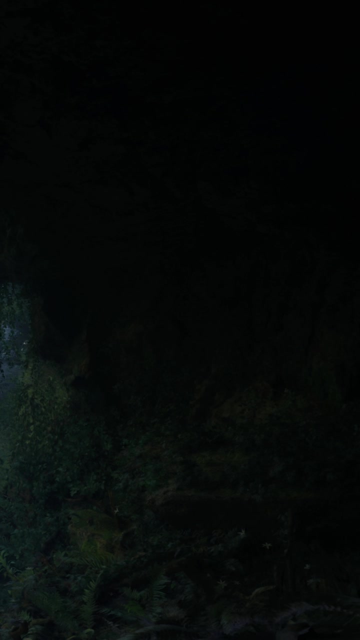 Esplorare una grotta buia con una fonte di luce e una lussureggiante vegetazione circostante