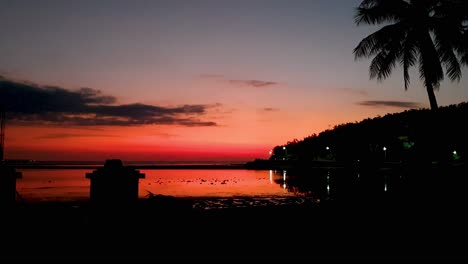 Pink-sky-sunset-reflecting-over-ocean-water-with-coconut-palm-tree-on-tropical-island-waterfront-at-night-in-capital-Dili,-East-Timor