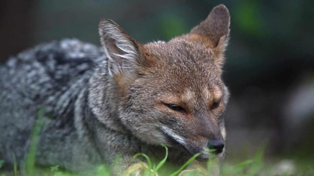 la majestuosa naturaleza en cada detalle