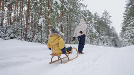 resting in nature in winter mother and little boy are riding sledge in snowy woodland