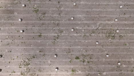 Top-down-drone-shot-of-farm-land-covered-in-freshly-harvested-hay-bales