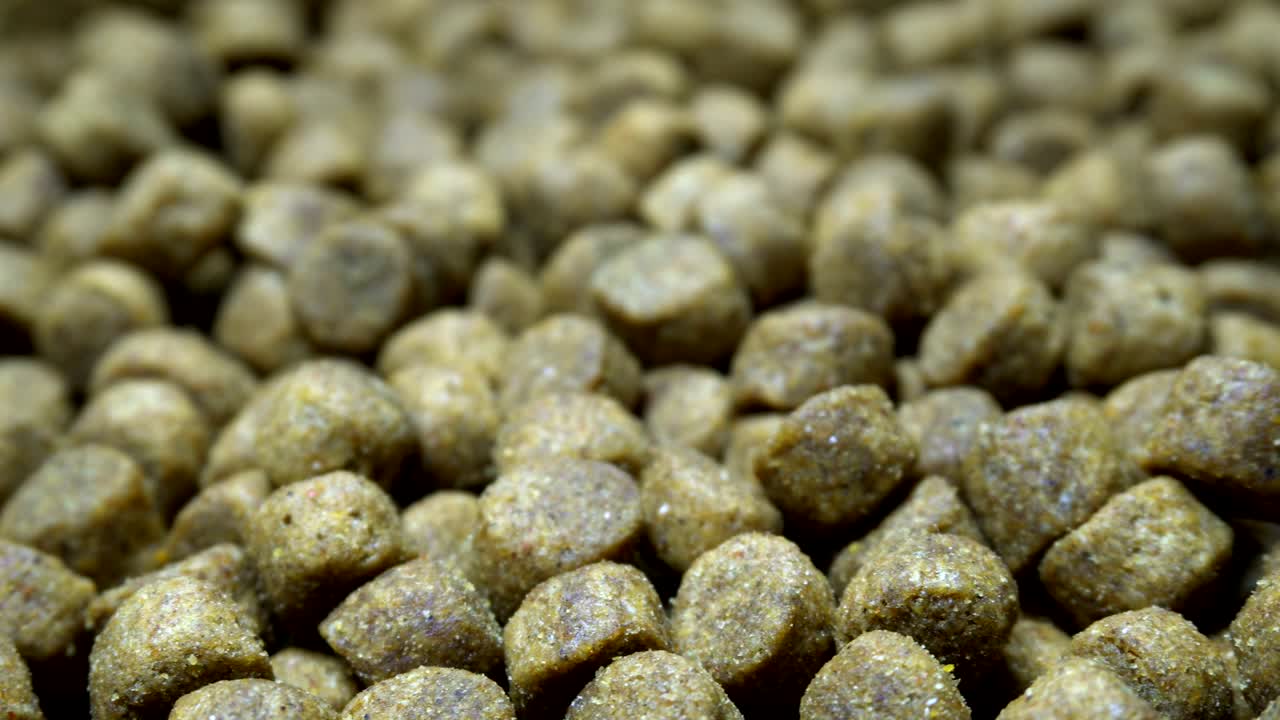 la comida seca para perros o gatos gira sobre la mesa.