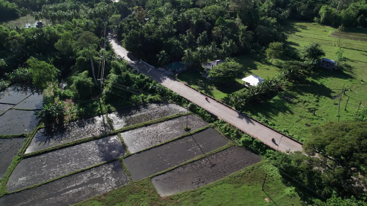 Aerial View of Vibrant Rice Paddies and Village Roads on Tropical Island