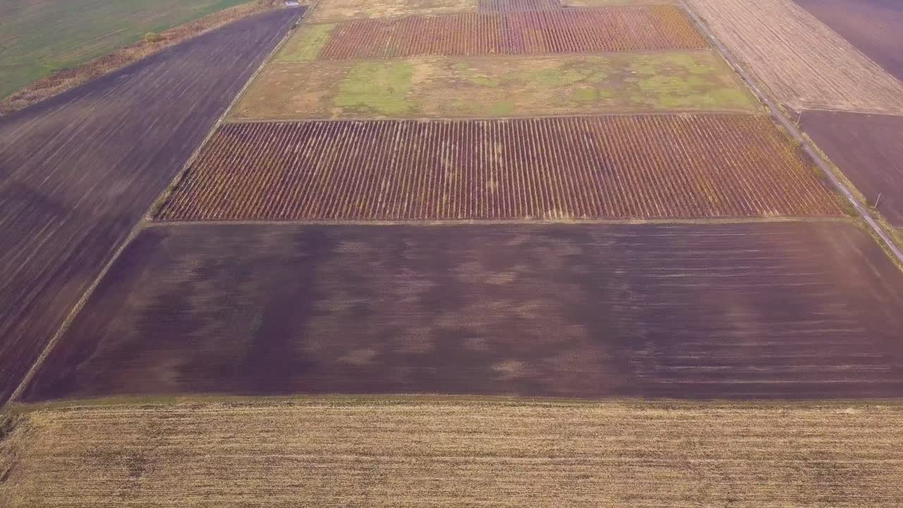 volando hacia adelante sobre campos de diferentes texturas y colores