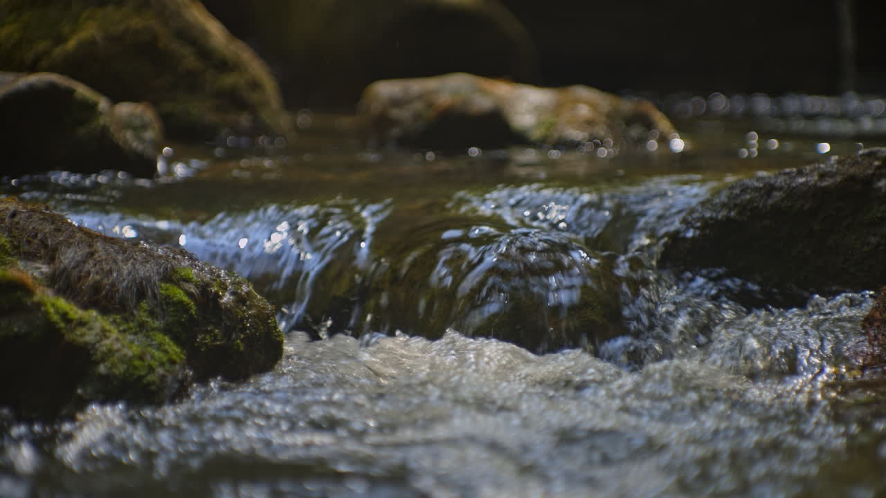 Close-up of a Rocky Stream