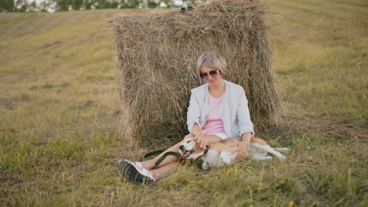 선글라스와 캐주얼 옷을 입은 여성은 건조한 잔디에 앉아 에 기대어 따뜻한 빛으로 개 귀를 부드럽게 문지르고, 열린 농장과 자연 환경에
