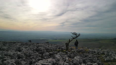 Flying-past-hiker-and-old-trees-on-rocky-hilltop-revealing-green-patchwork-fields-and-misty-horizon-at-Ingleton-Yorkshire-UK