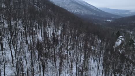 rising above a snowy mountain forest and road during winter, with blue, snow-covered mountains