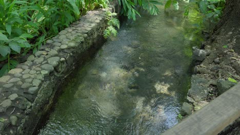 a river with a lot of crystal clear water in slow motion