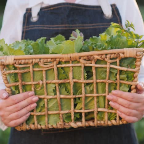 agricultora sostiene cestas con verduras frescas 1