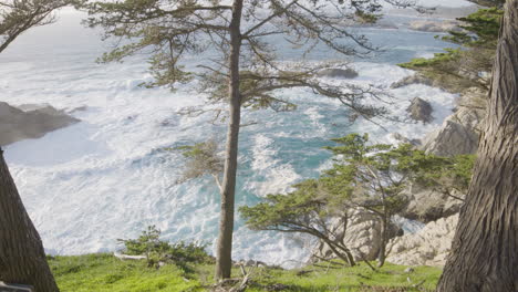 Toma-Estacionaria-De-Un-árbol-En-La-Ladera-De-La-Colina-De-Big-Sur-California-Con-Olas-En-El-Océano-Pacífico-Rompiendo-En-El-Fondo