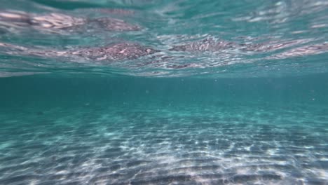 exploring underwater sandy bottom in melbourne