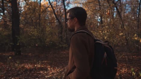 man hiking in autumn forest