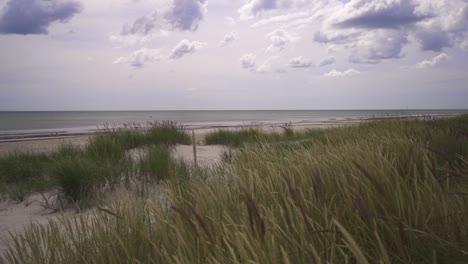 a empty beach with reed and clouds moving in the distance