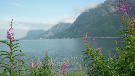 a tranquil lake showcases reflections of surrounding mountains, while vibrant wildflowers bloom along the shoreline under a clear sky. the scene captures a sense of calm and natural beauty