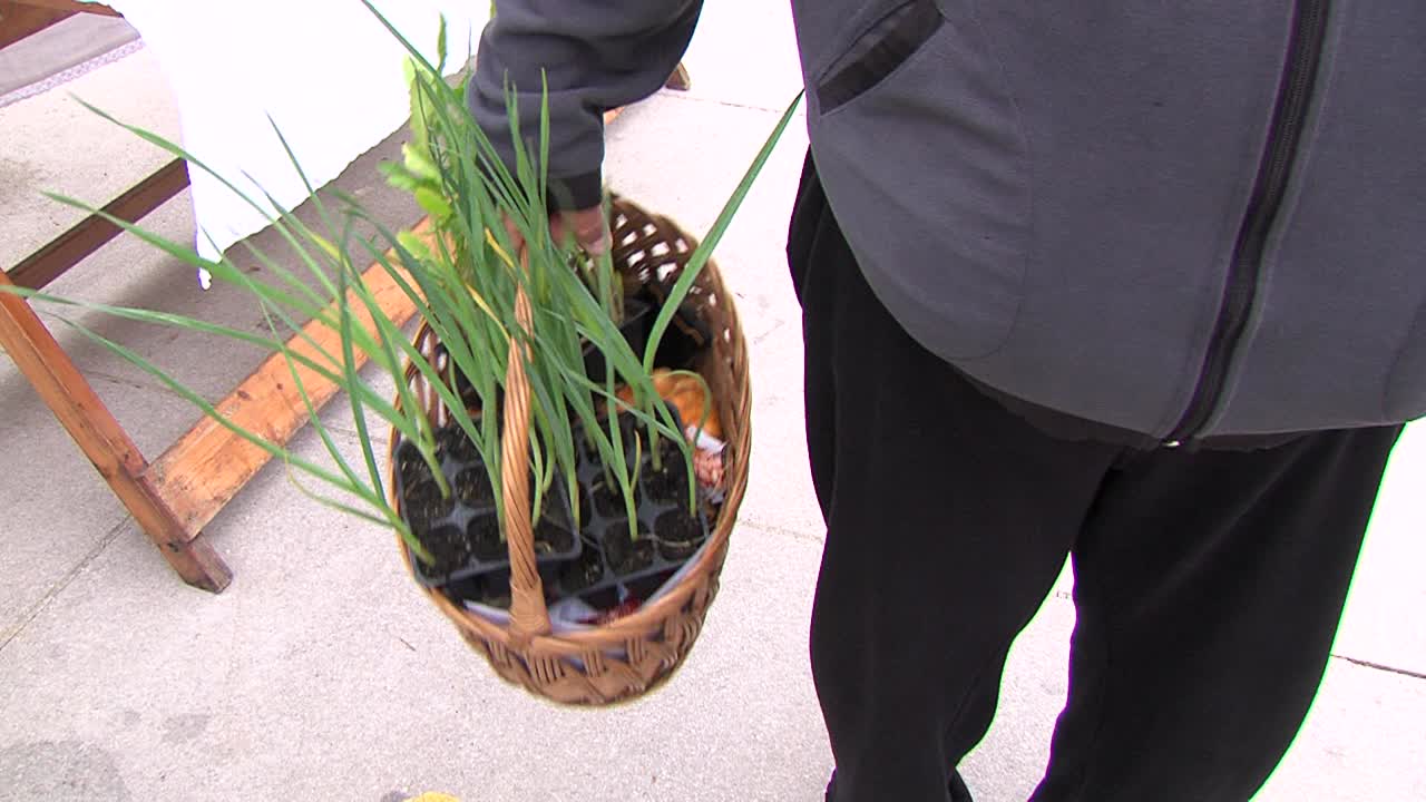 Man holding wicker basket with fresh organic chicory and leek on local market