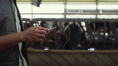 farmer hands holding tablet computer closeup. livestock owner walking cowshed.