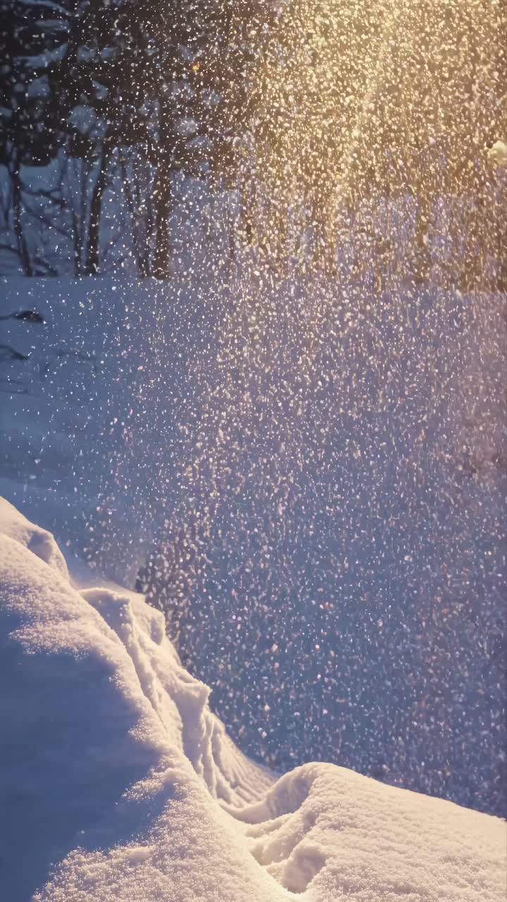 A serene winter scene with snow falling gently, captured from a low angle