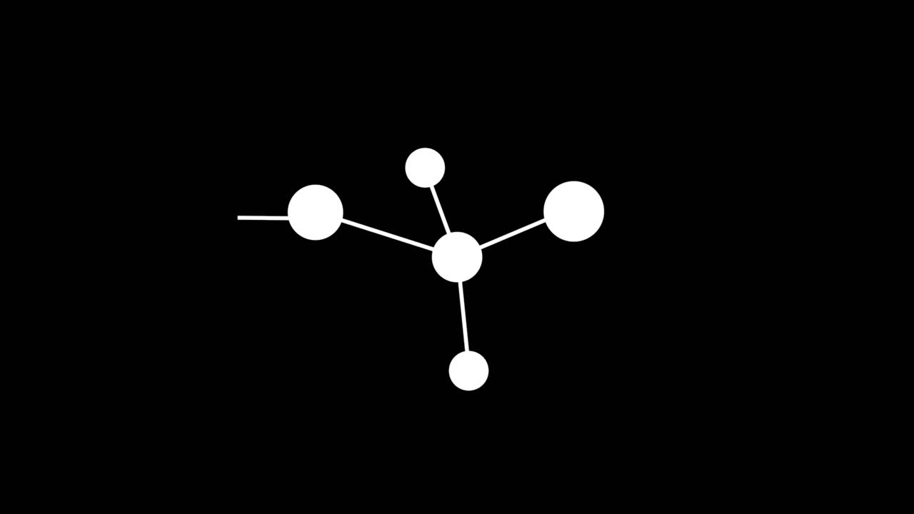 Network and Connection Visualizations