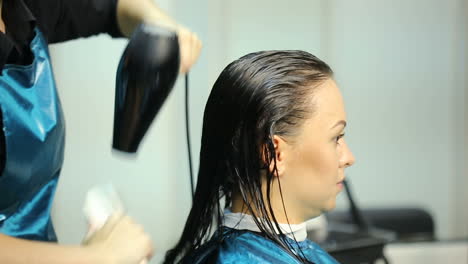 professional hairdresser cutting hair to female customer at design hair salon