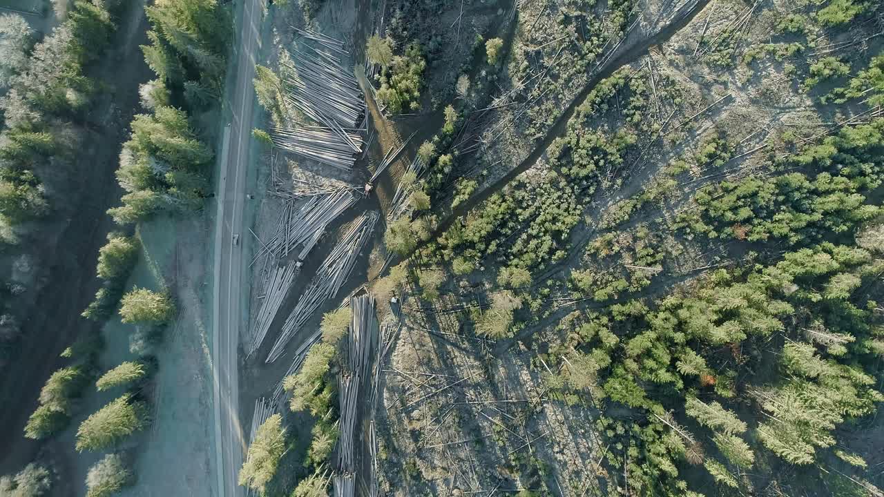 pila de madera apilada junto a la carretera, deforestación con grandes pilas de madera, antena