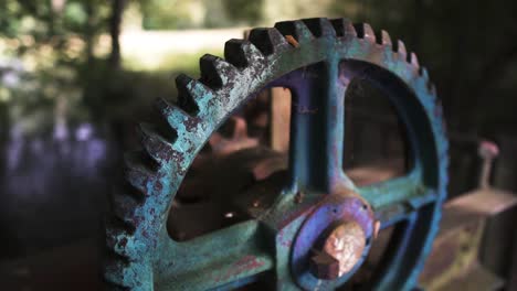 Wheel-from-the-bridge-in-nature