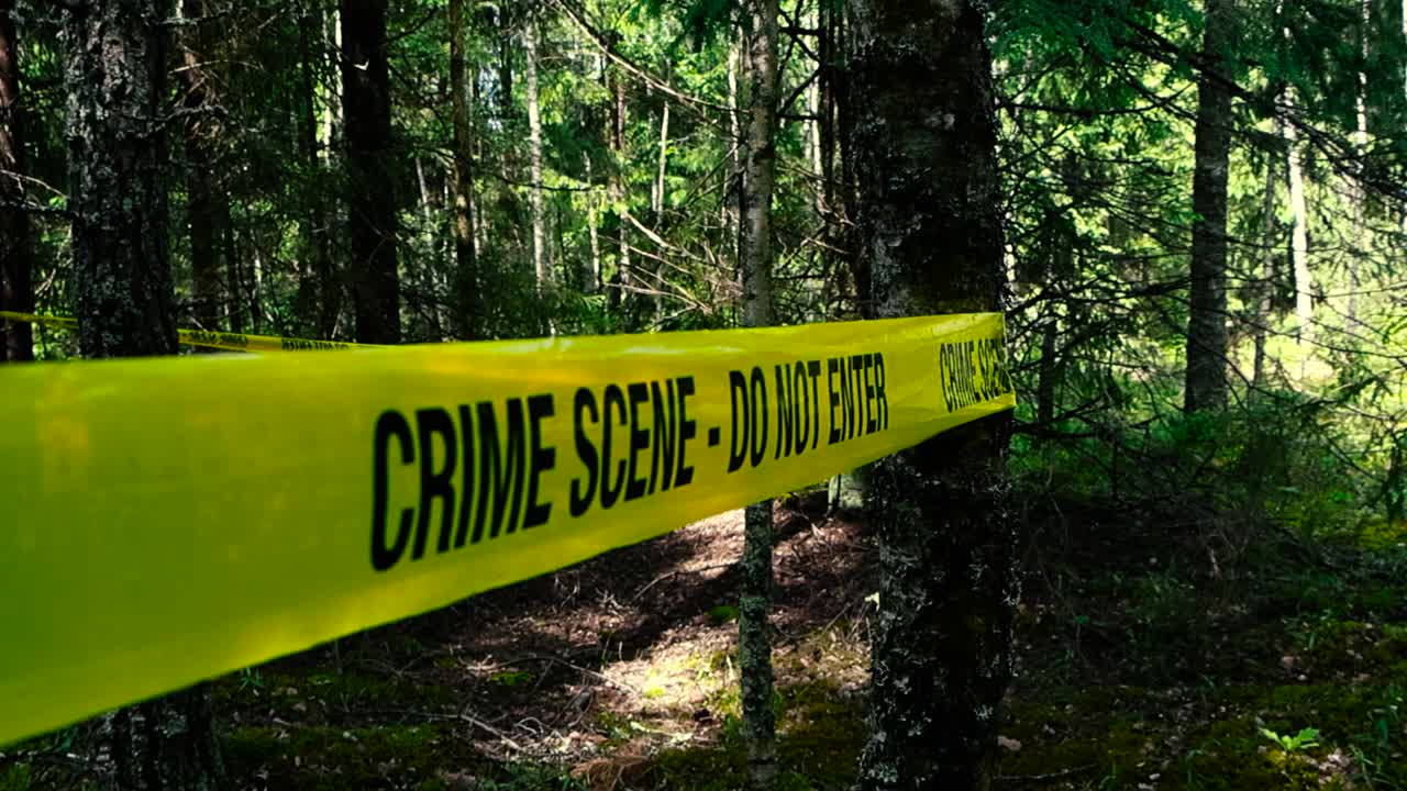 Vibrant colored yellow Crime Scene Do Not Enter tape around a investigation area in a dark and spooky forest during a sunny day. Tape is wrapped around large and old trees and forest foliage visible.
