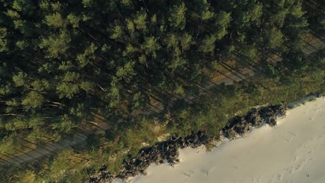 Couple-of-cyclists-riding-bike-path-in-forest-right-next-to-beach