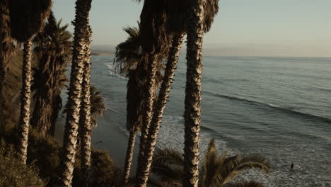 A-view-of-Swamis-Beach-framed-by-palm-trees-in-Encinitas,-California