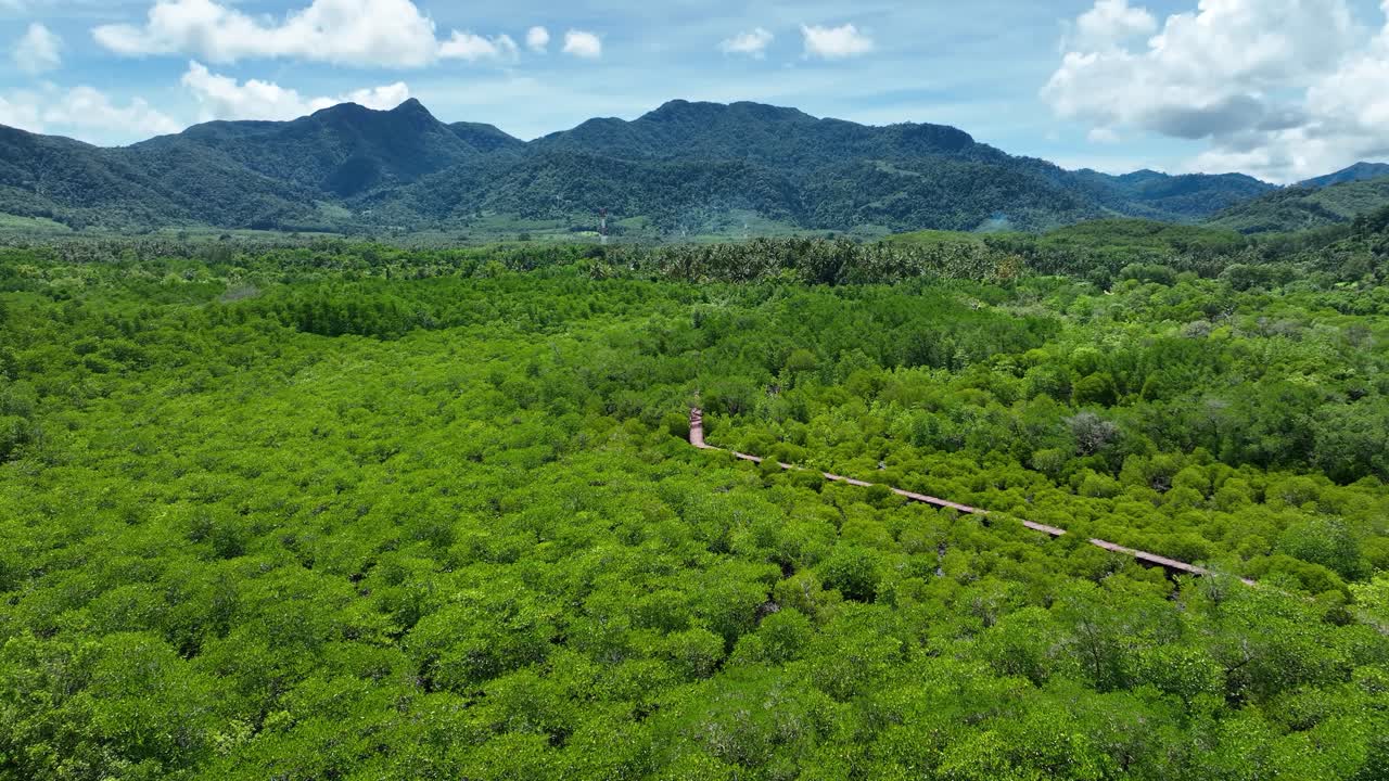 Red Bridge Walking Trails Through Salak Phet Mangrove Forest In Koh Chang, Trat, Thailand. Aerial Wide Shot