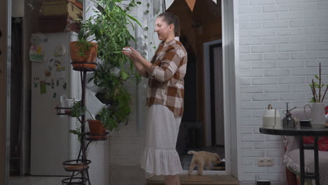 mature woman standing near indoor vertical garden cleaning green leaf with white towel, dressed in checkered shirt and skirt, surrounded by potted plants, while small puppy plays near open door
