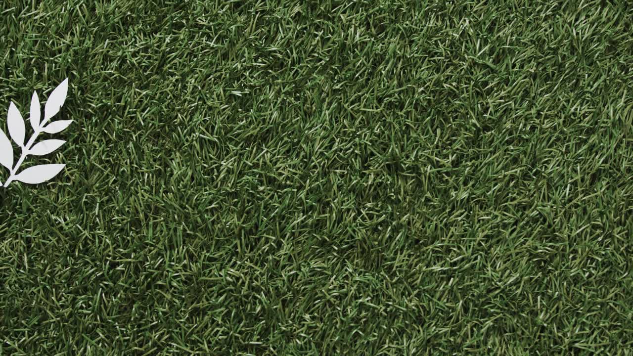 cerca de paloma blanca con hoja y copia espacio en el fondo de hierba.