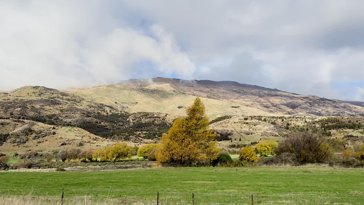 A serene drive through Wanaka's picturesque landscape, featuring rolling hills and vibrant autumn foliage under soft daylight