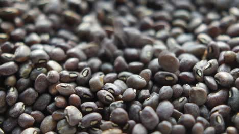 pile of dark purple/brown beans