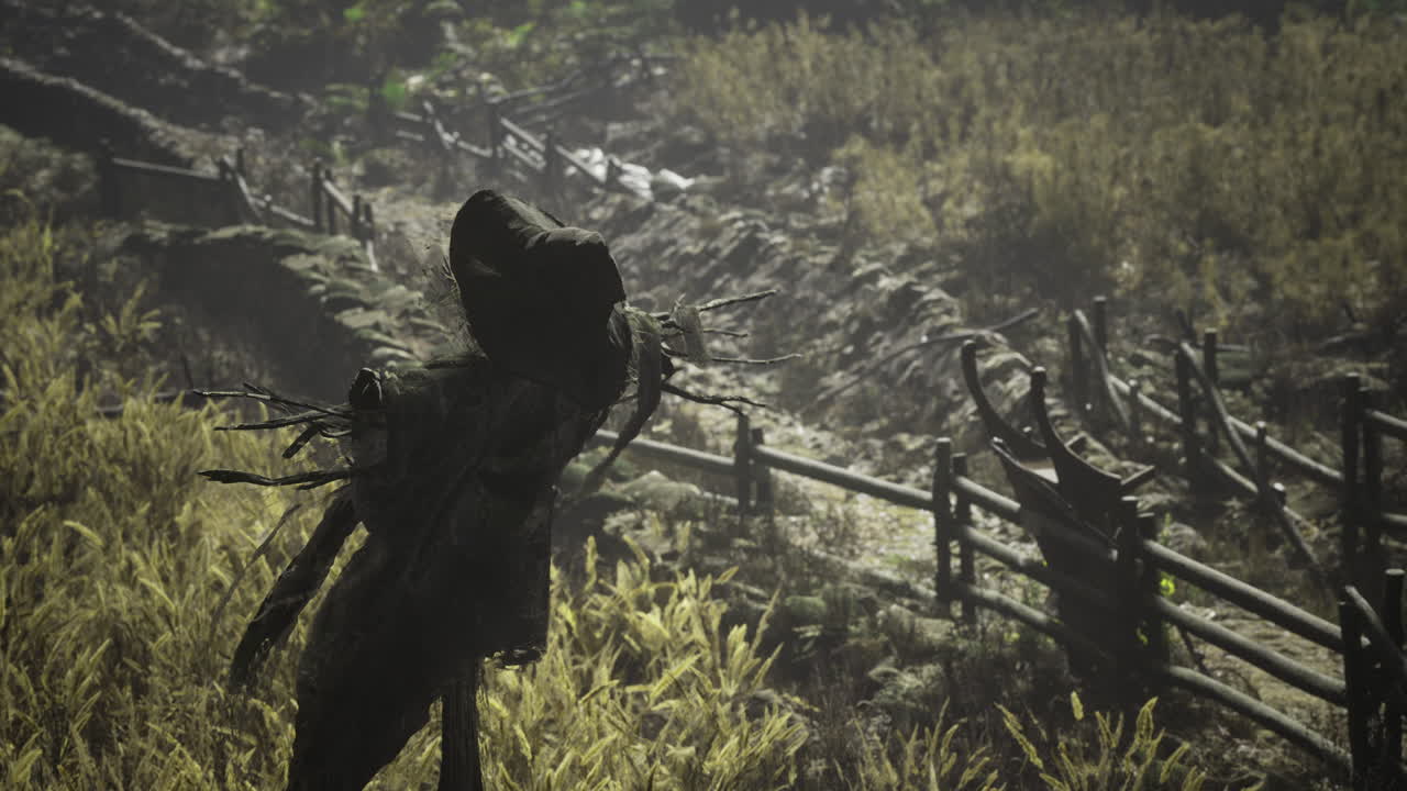 Scarecrow standing in a misty field surrounded by tall crops and a fence
