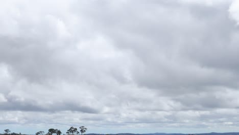time-lapse of gray clouds moving over a distant tree line under an overcast sky.