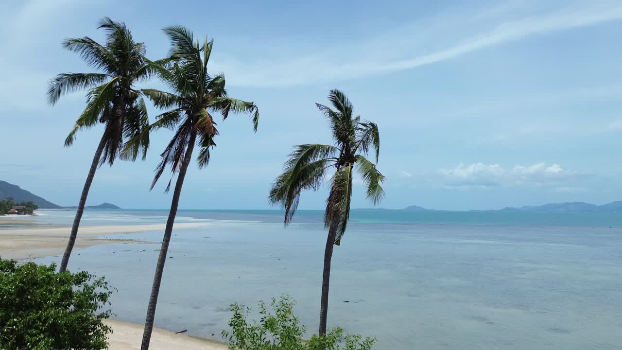 Scenic aerial drone footage of a tropical beach on Koh Phangan island, Thailand, showing palm trees, white sand, and turquoise ocean water under a clear blue sky