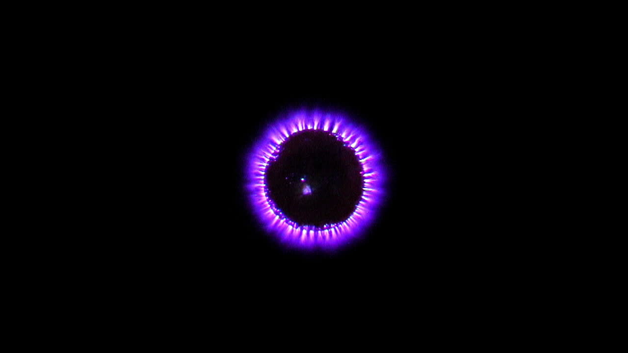 Kirlian photography of Kumquat fruit cross-section