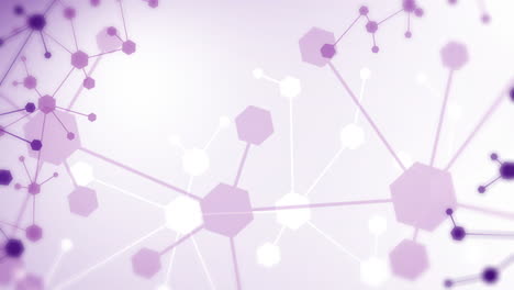 hexagons purple pattern with molecular grid. geometric abstract background with simple hexagonal elements. medical, technology or science design. looped.