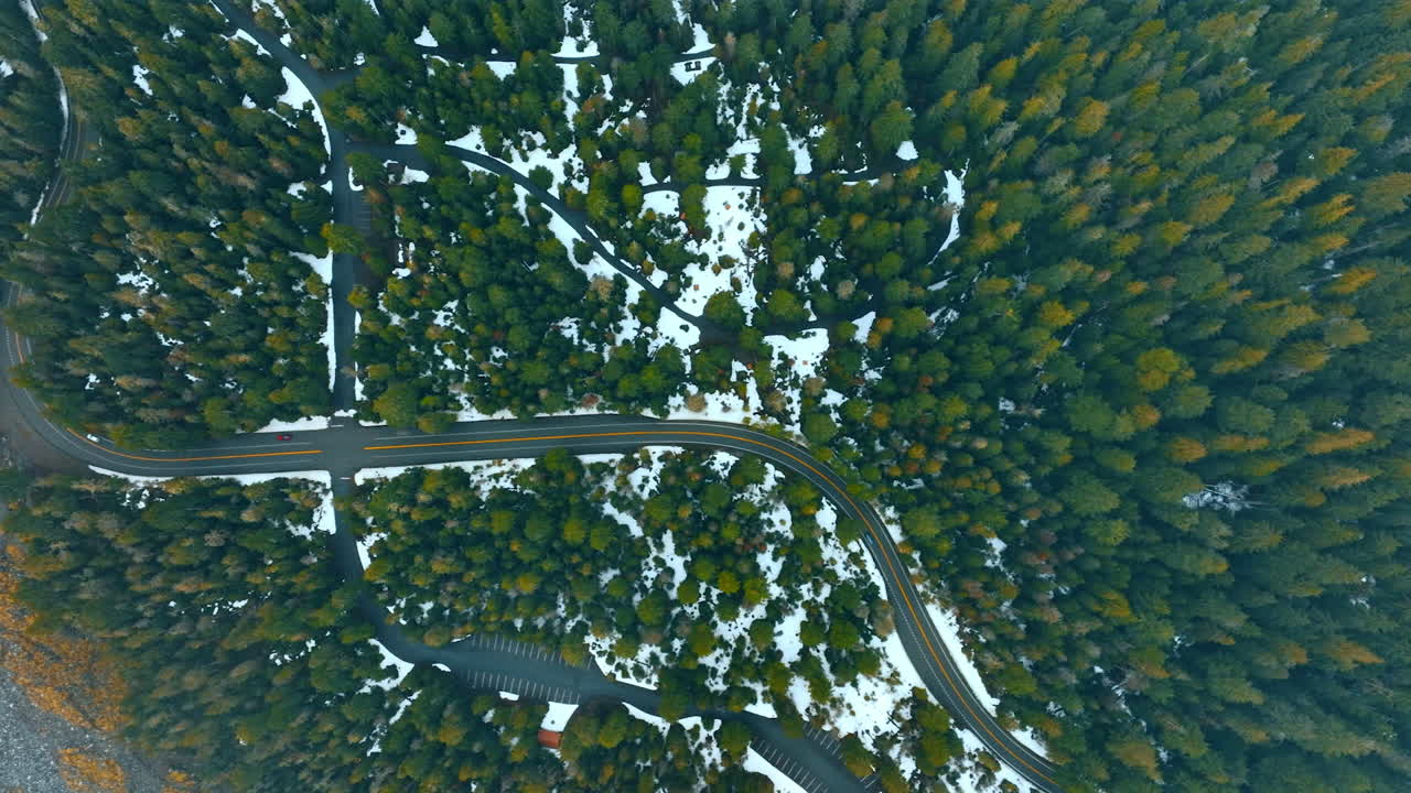 Roads crossing the pine-tree forest in the national park. Drone footage above the Mount Rainer national Park, Washington State, the USA.