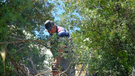 man cutting wood with saw
