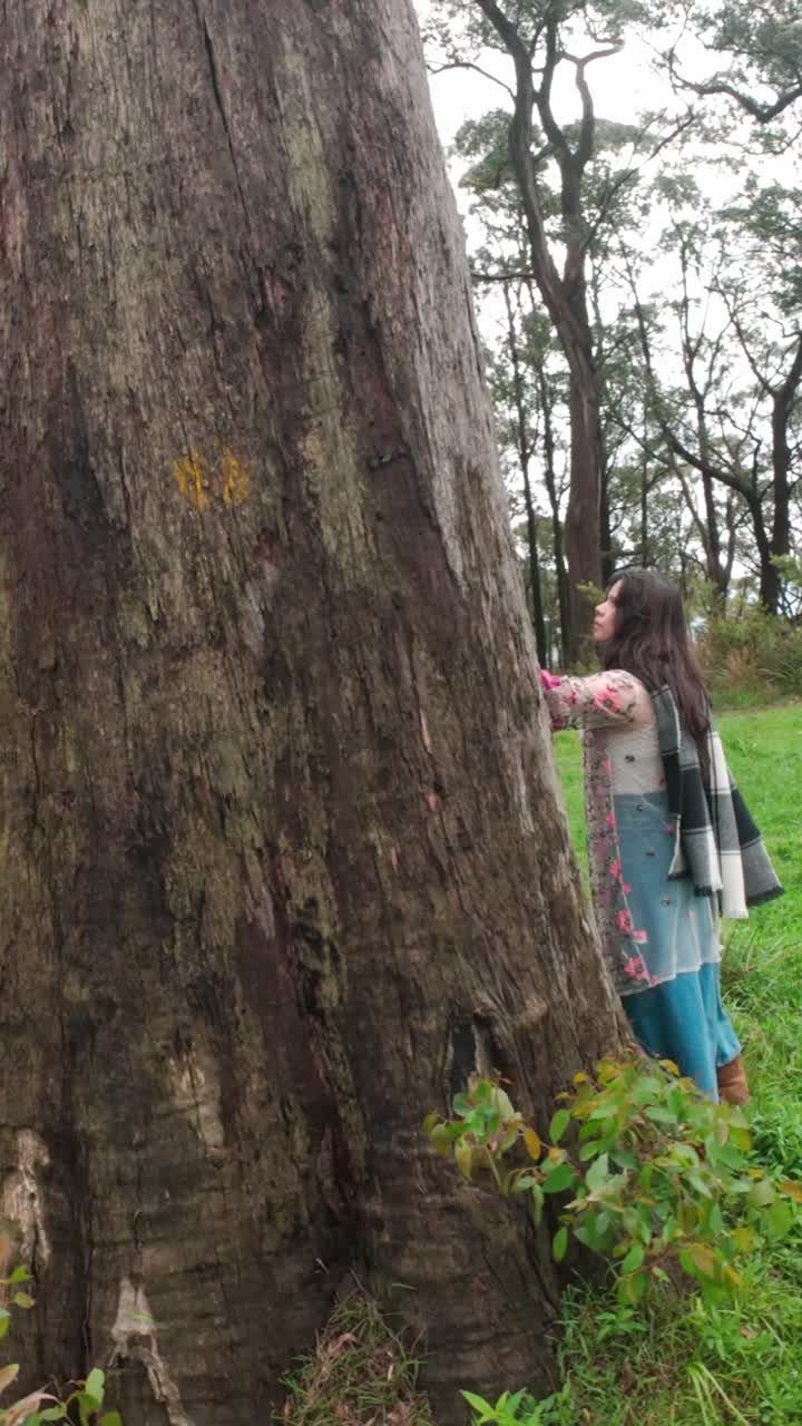 Vertical video of a woman touching a massive tree in a lush forest, capturing nature's grandeur and tranquility. Ideal for social media stories, showcasing serenity and connection to nature