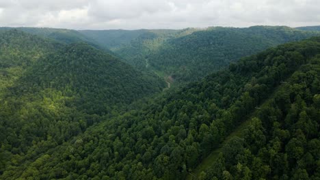 West-Virginia-Mountains-In-Den-Appalachen,-Spur-Nach-Links