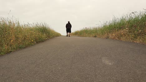 man walking alone on a path through a field
