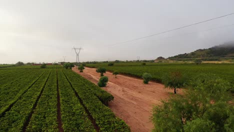 Dron-Peligroso-Tomando-En-El-Campo-Con-Cable-De-Alto-Voltaje