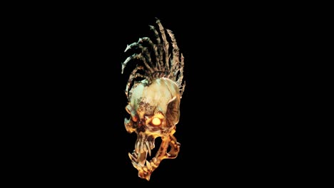 el bucle de la calavera vj punk